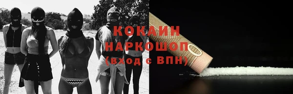 дурь Алексин