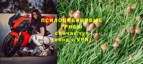 дурь Алексин