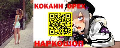 дмт Сланцы