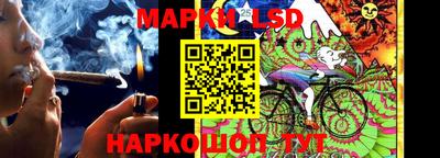 a pvp Славгород