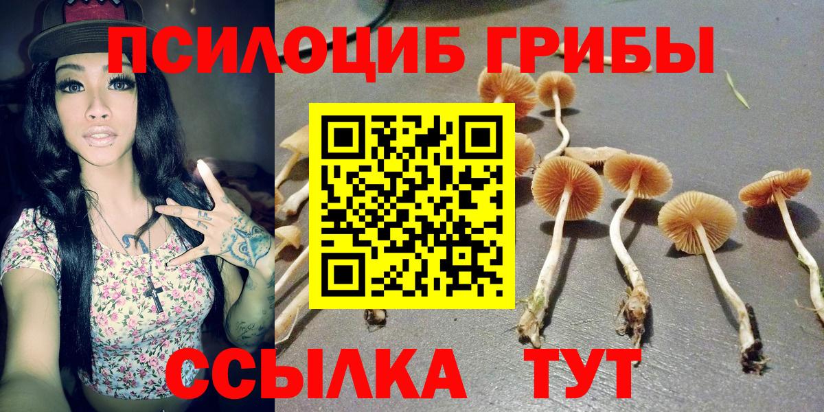 Галлюциногенные грибы Psilocybine cubensis Южно-Сахалинск